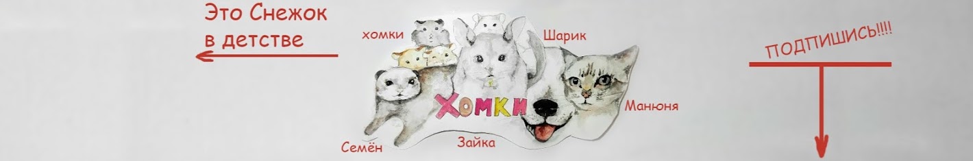 Хомки