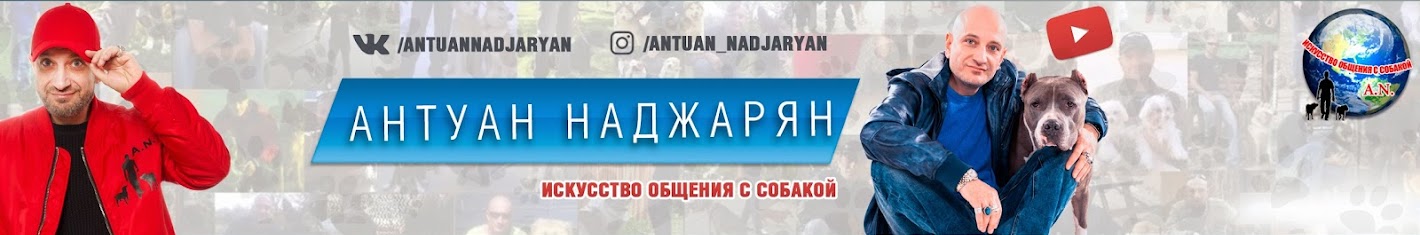 Антуан Наджарян