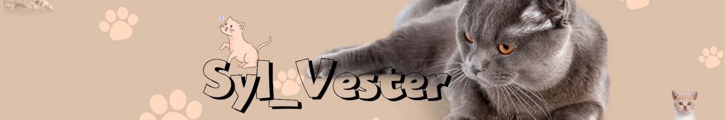 Cat Syl_Vester and new funny cats and dogs